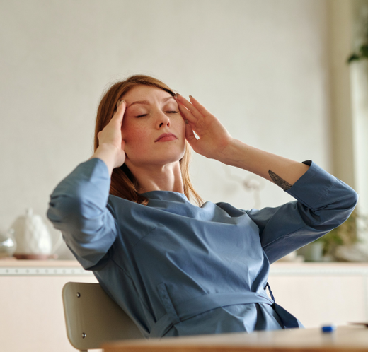 Navigating the Endocannabinoid System